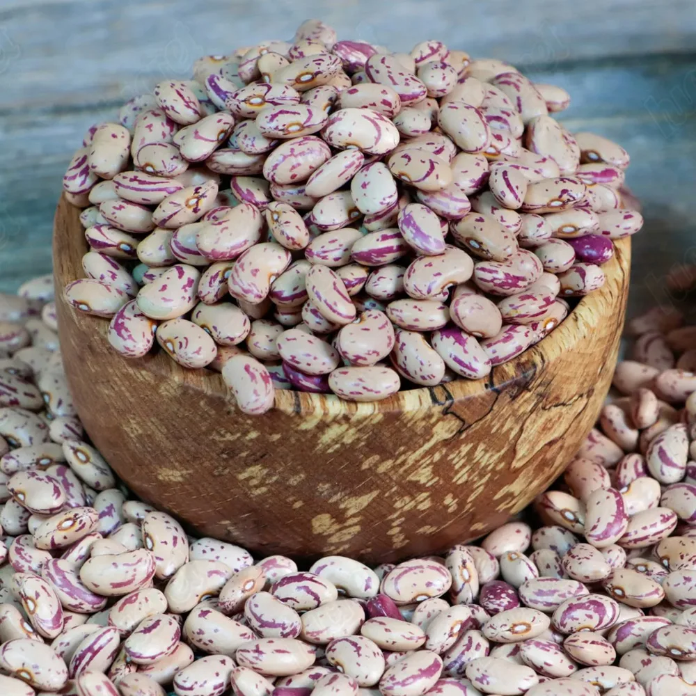 Kidney bean