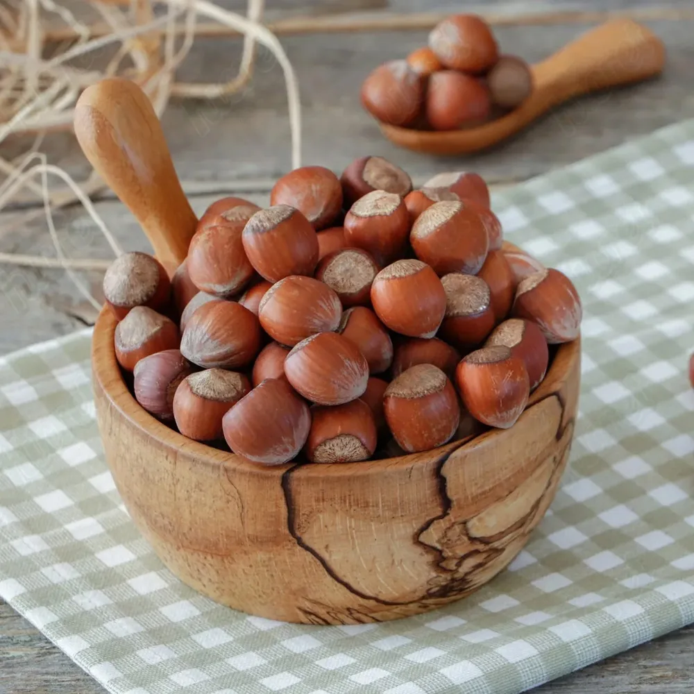 Shelled Hazelnut (Raw)
