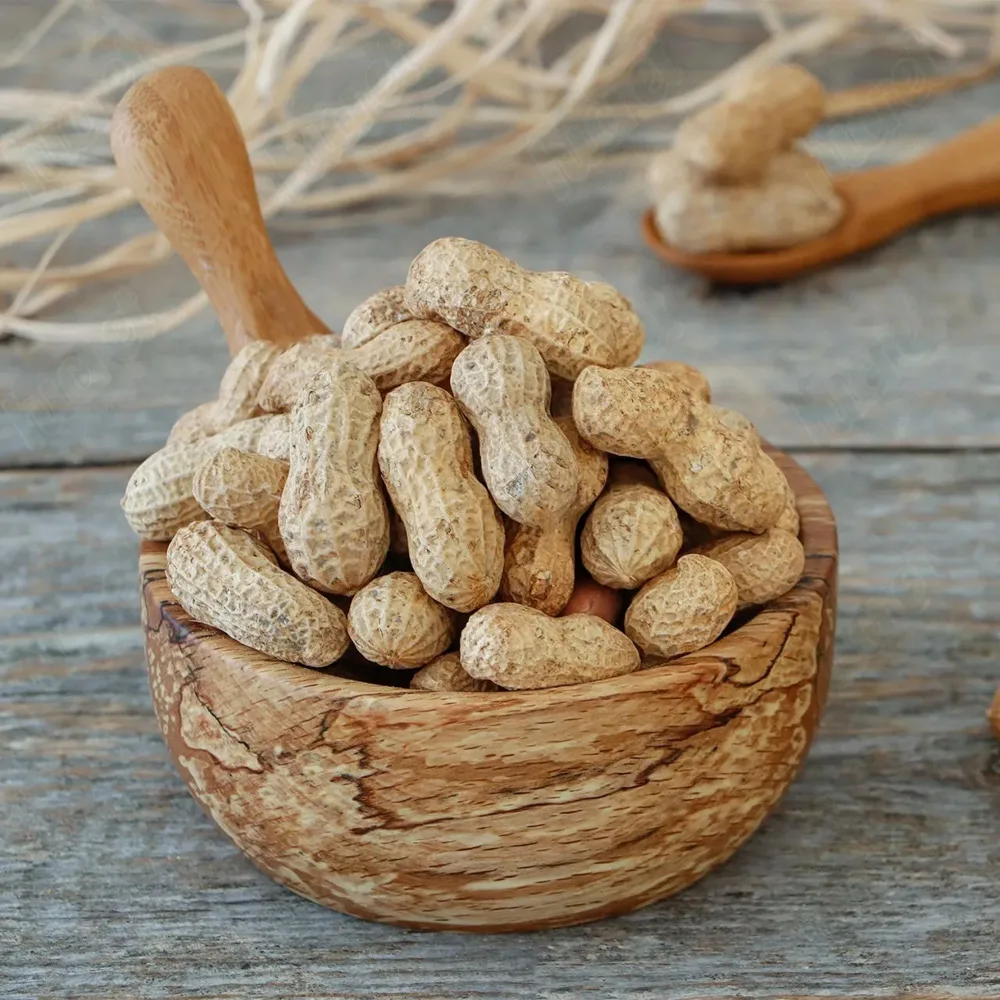 Roasted Peanuts in Shell