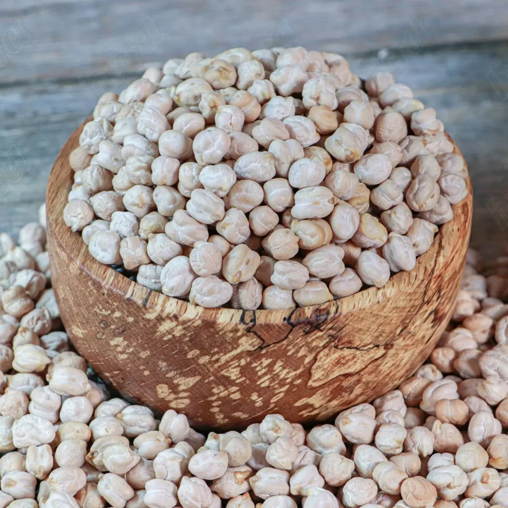 Chickpea Native