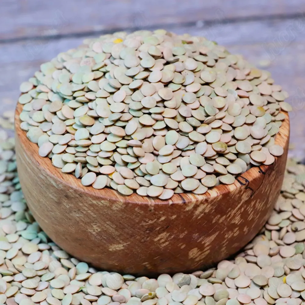 Green Lentils